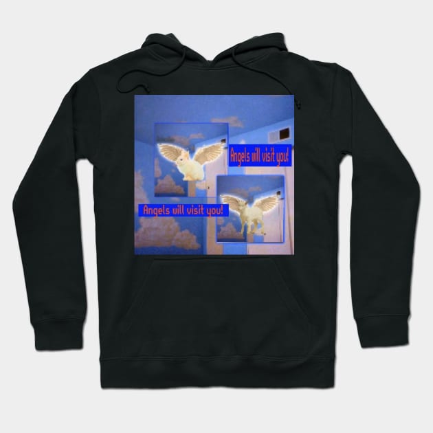 Angels will visit you - Weirdcore, internet nostalgia, dreamcore Hoodie by Random Generic Shirts